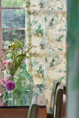 GRANDIFLORA ROSE COLLECTION