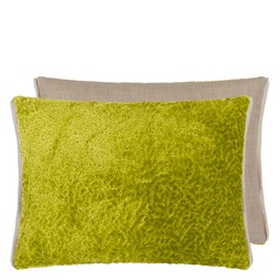 CARTOUCHE MOSS VELVET CUSHION CCDG1566