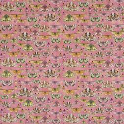 ISSORIA-ROSE