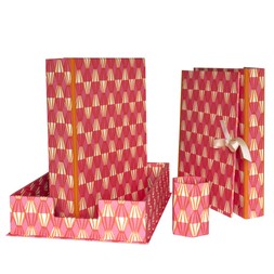 Cambridge Imprint Threadwork Bright Pink and Orange Desk Storage