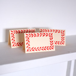 Pack of Twelve Tomato Place Cards