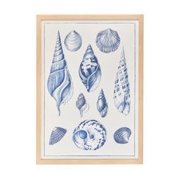 4. Homesense - Blue framed shell print - £24.99