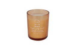 Salted Mango Candle &pound;7.99