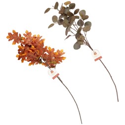 Eucalyptus & Oak Leaf Stem £2.50 each