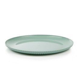 Summer Ribbed 4 Pack Dinner Plate - Green