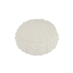 Coastal Retreat Shell Storage Box